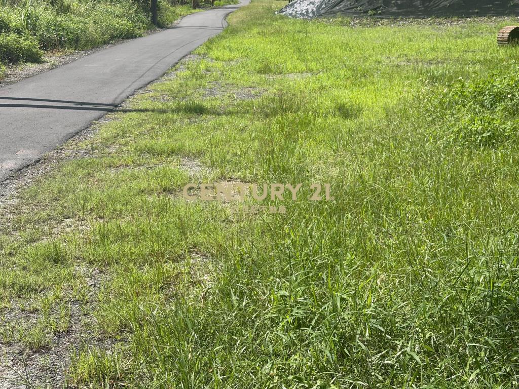 BC850冬山河足坪美農地
