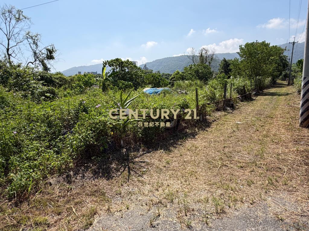 BC850冬山河足坪美農地