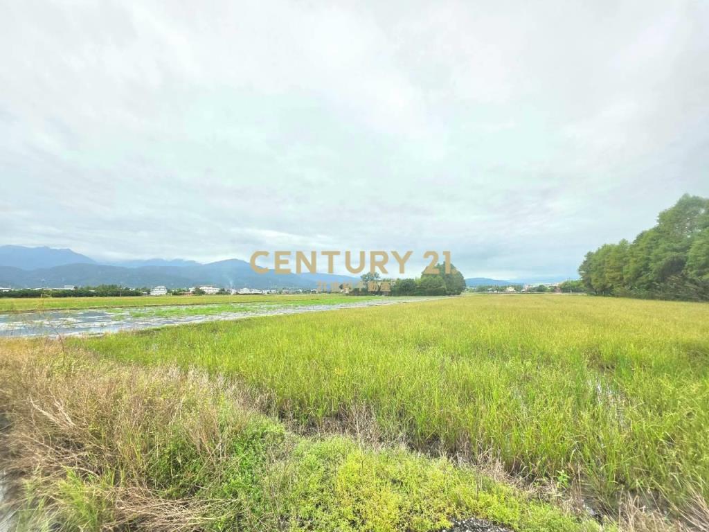BC852冬山足坪大面寬優質農地