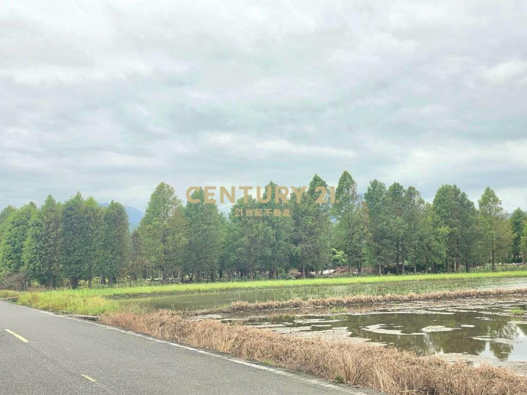 BC852冬山足坪大面寬優質農地
