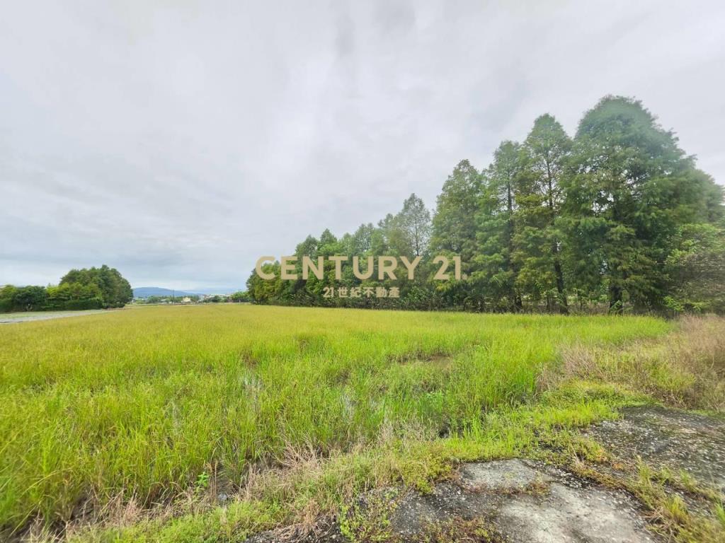 BC852冬山足坪大面寬優質農地