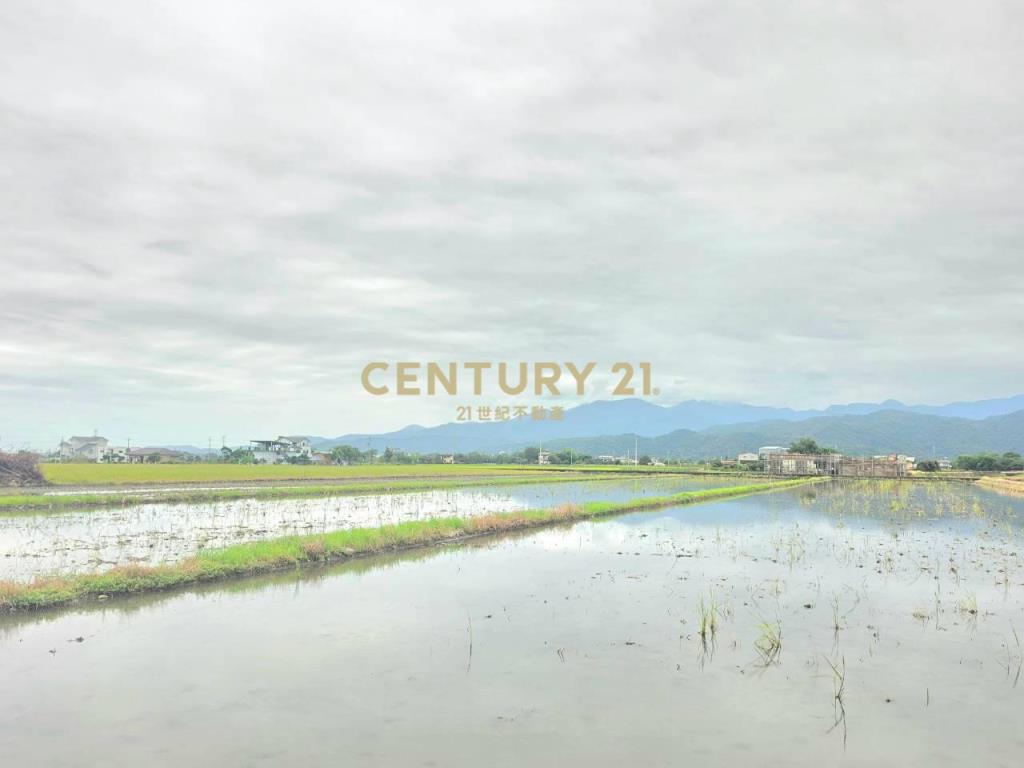 BC853三星22米大面寬足坪農地