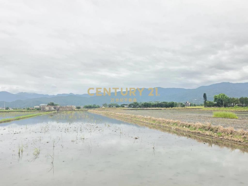 BC853三星22米大面寬足坪農地
