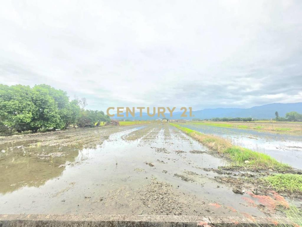 BC853三星22米大面寬足坪農地