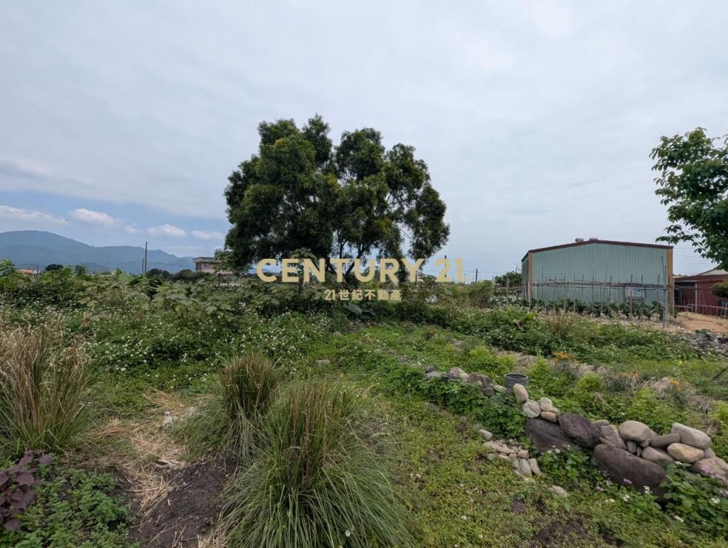 FD164三星正上將路田園大面寬建地