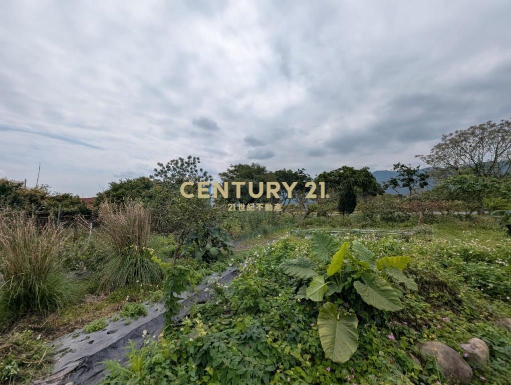 FD164三星正上將路田園大面寬建地