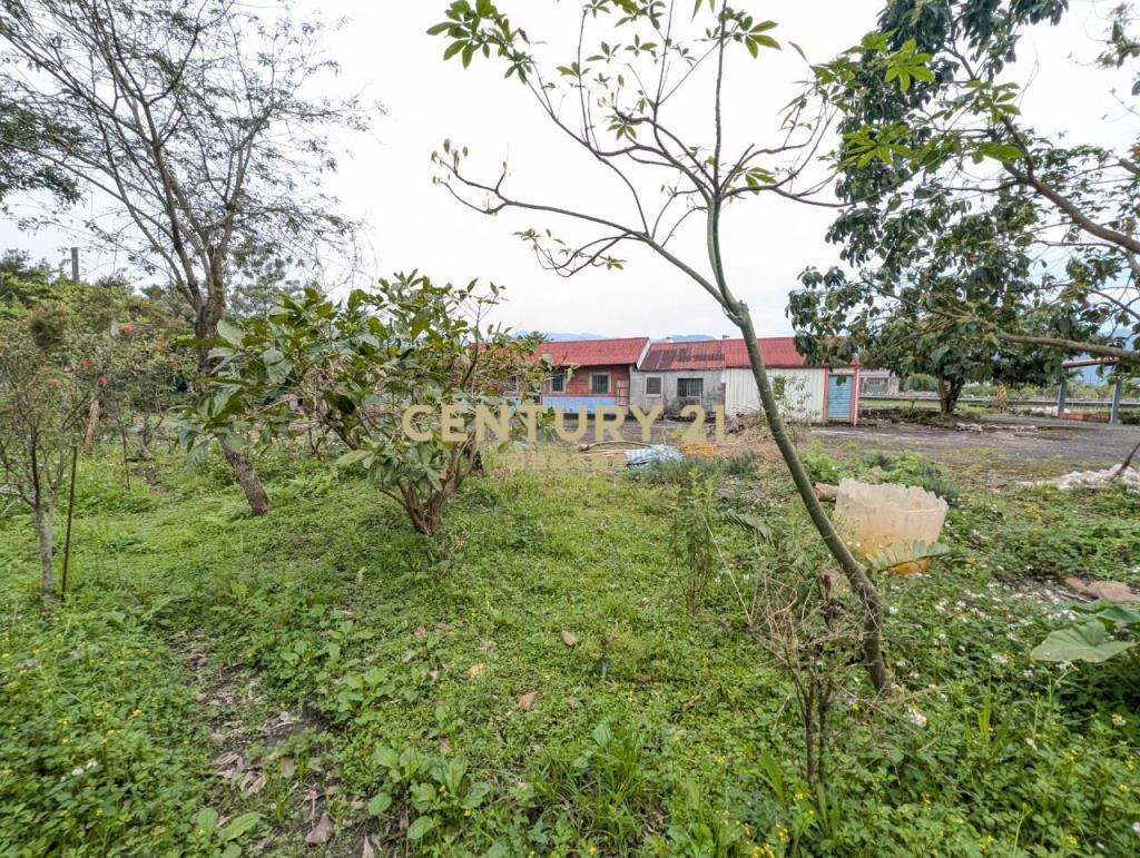 FD164三星正上將路田園大面寬建地