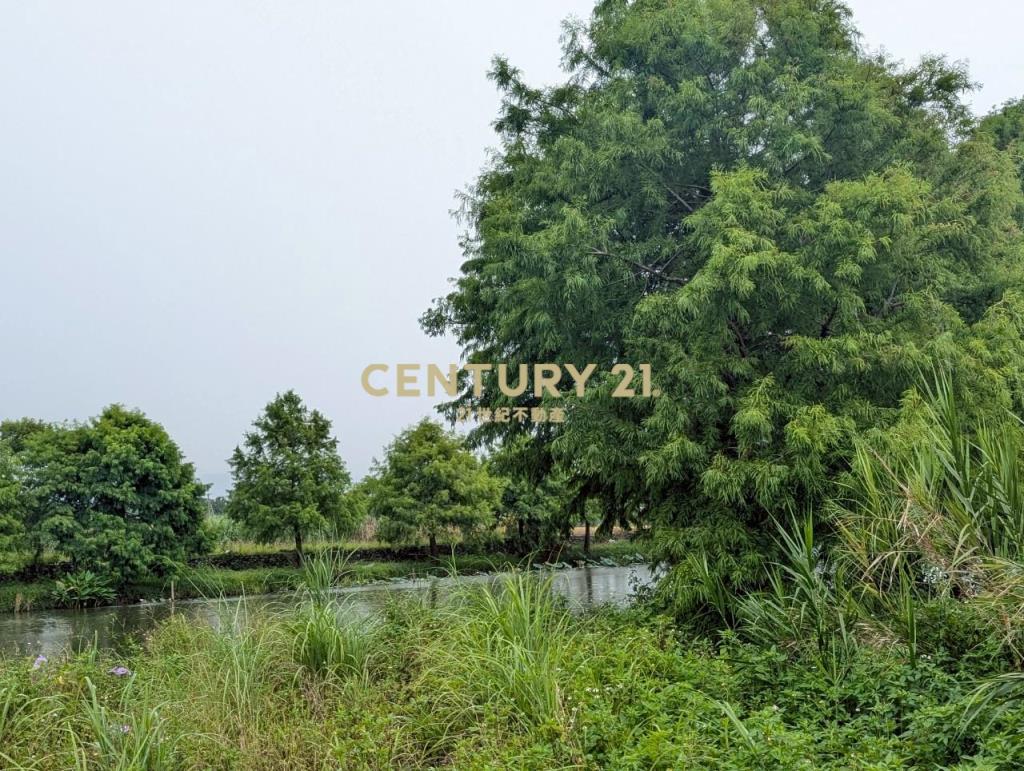 FC388冬山河岸第一排美景足坪農地