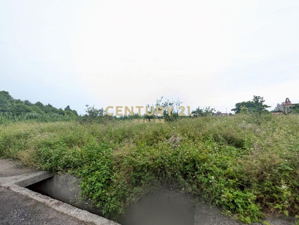 FC388冬山河岸第一排美景足坪農地