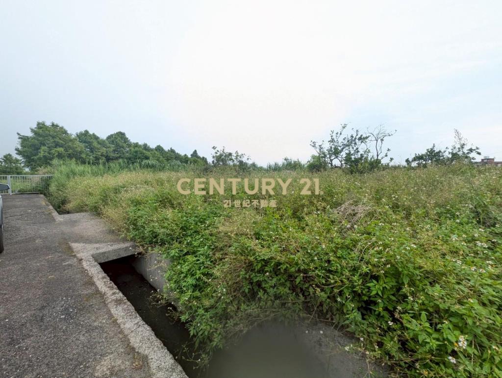 FC388冬山河岸第一排美景足坪農地