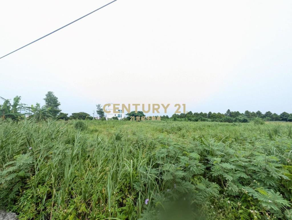 FC388冬山河岸第一排美景足坪農地