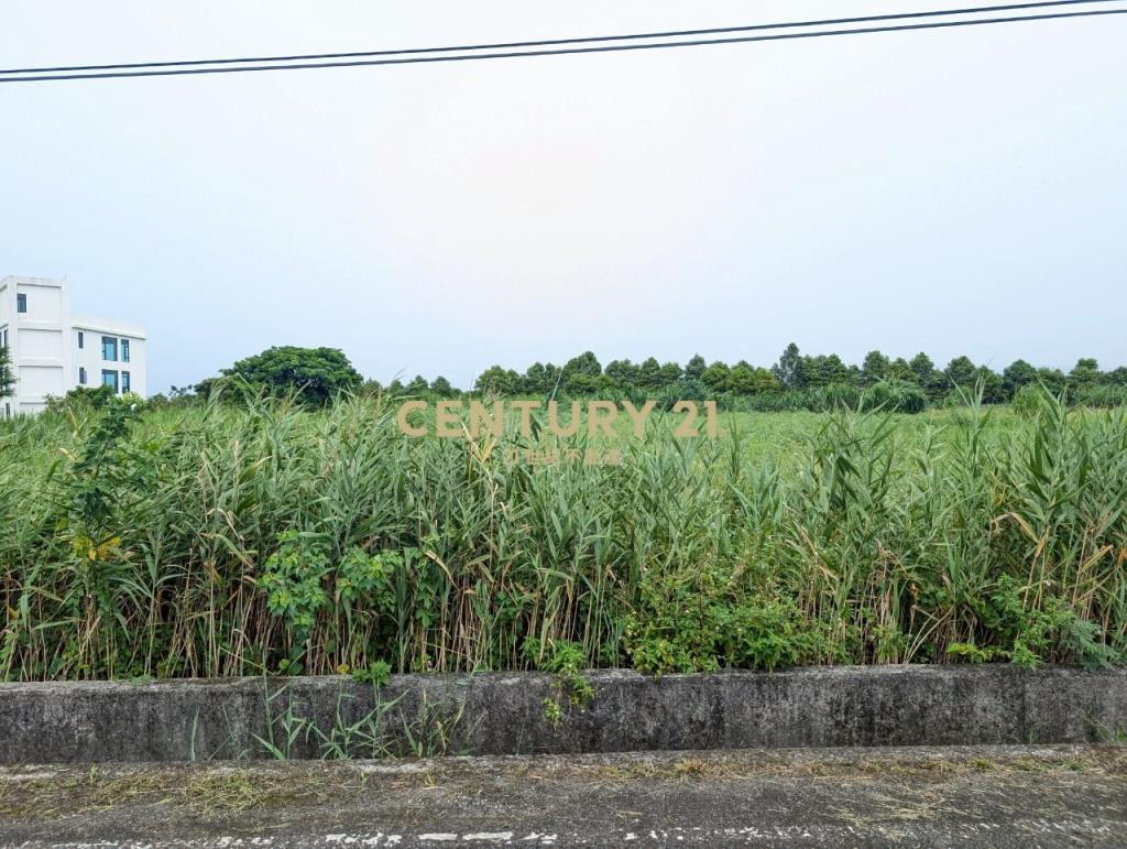 FC388冬山河岸第一排美景足坪農地