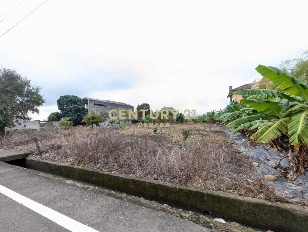 FC396安農溪第一排前後臨路景觀農地