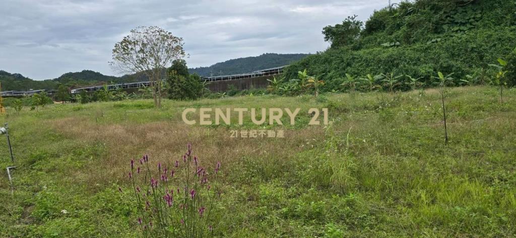 FC402大進休閒農地附露營許可