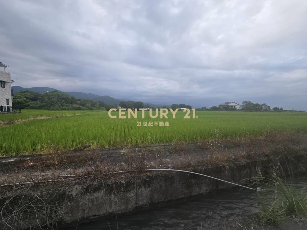 FC404耕莘低單價農地1969坪