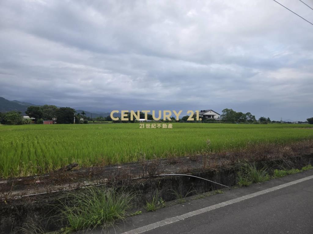 FC404耕莘低單價農地1969坪