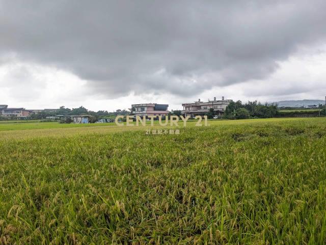 FC406聖母護校旁足坪1213美農地