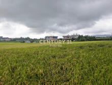 FC406聖母護校旁足坪1213美農地