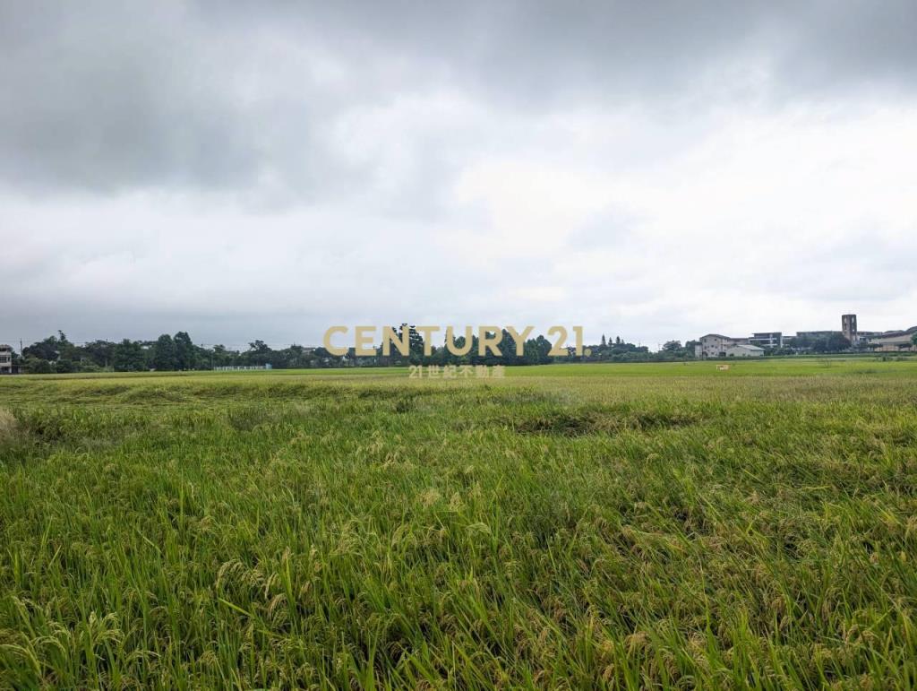 FC406聖母護校旁足坪1213美農地
