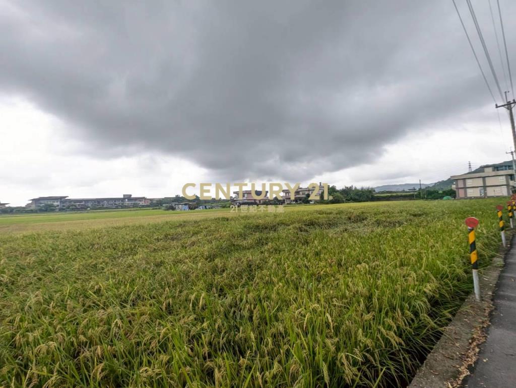 FC406聖母護校旁足坪1213美農地