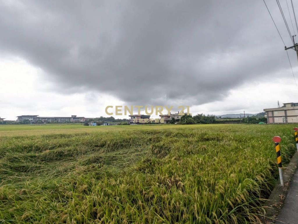 FC406聖母護校旁足坪1213美農地