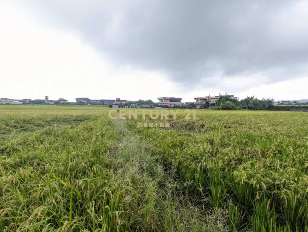 FC406聖母護校旁足坪1213美農地
