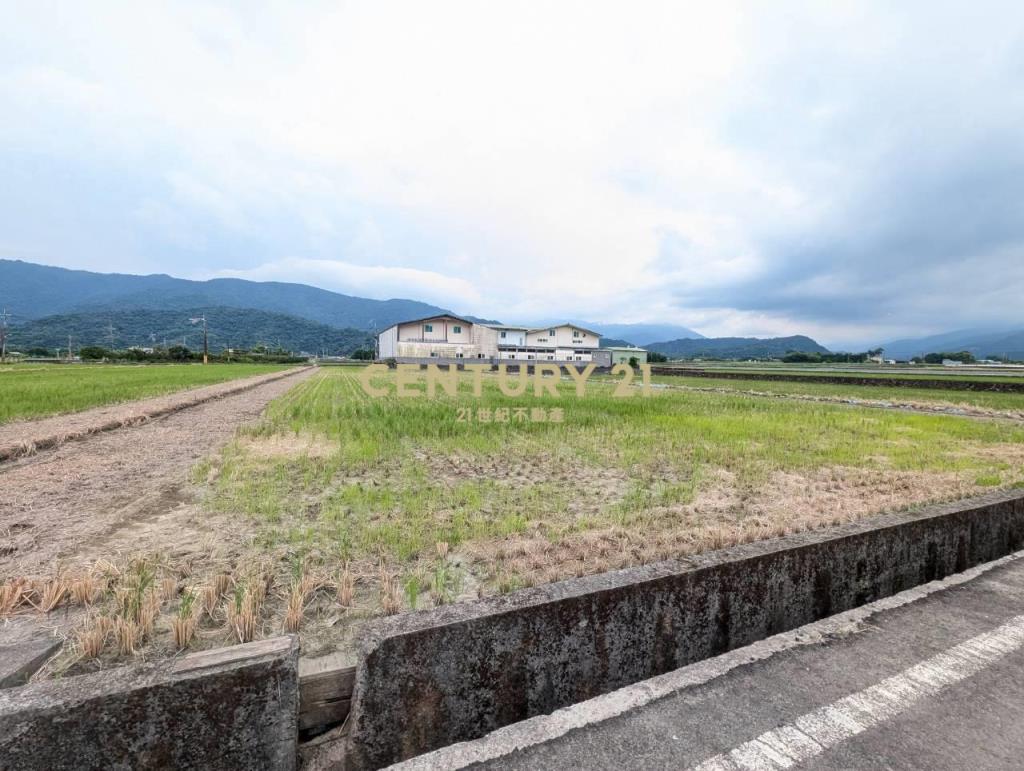 FC407三星人和山景雙足坪農地