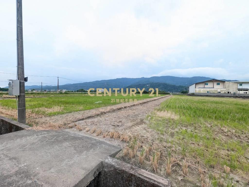 FC407三星人和山景雙足坪農地