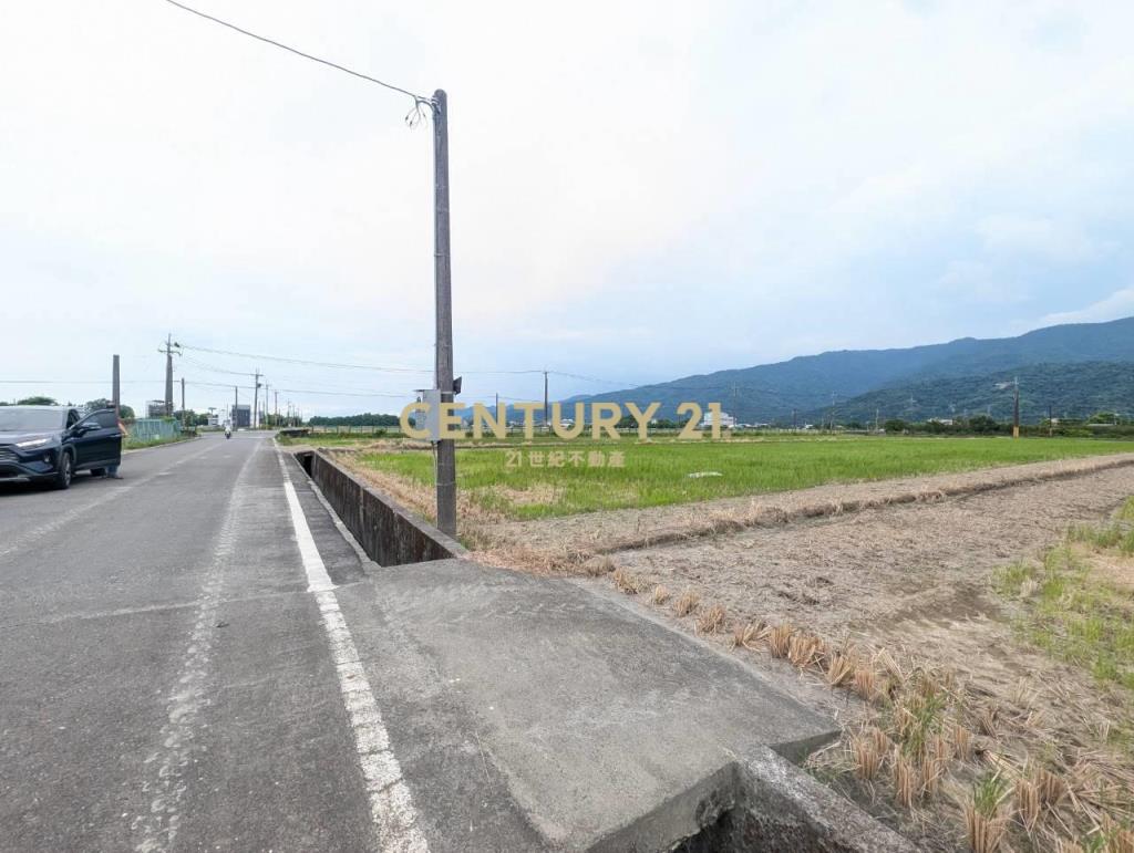 FC407三星人和山景雙足坪農地