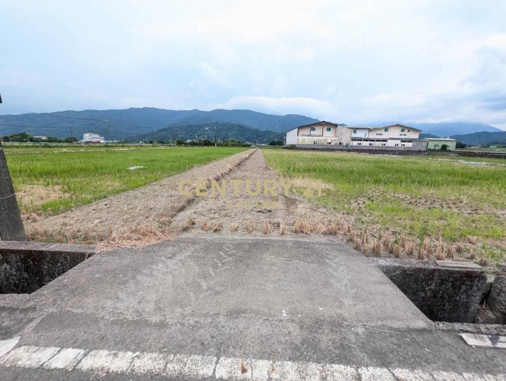 FC407三星人和山景雙足坪農地