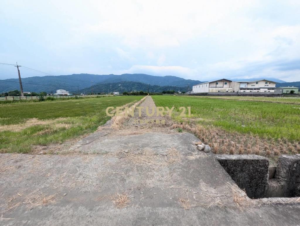 FC407三星人和山景雙足坪農地
