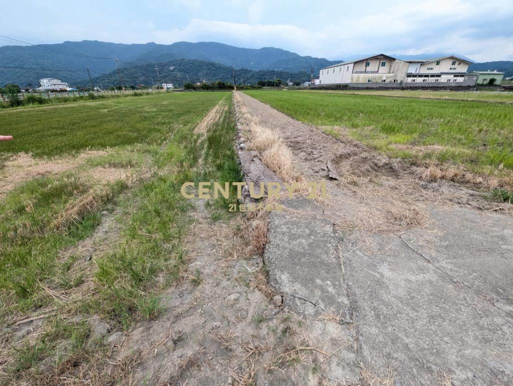 FC407三星人和山景雙足坪農地