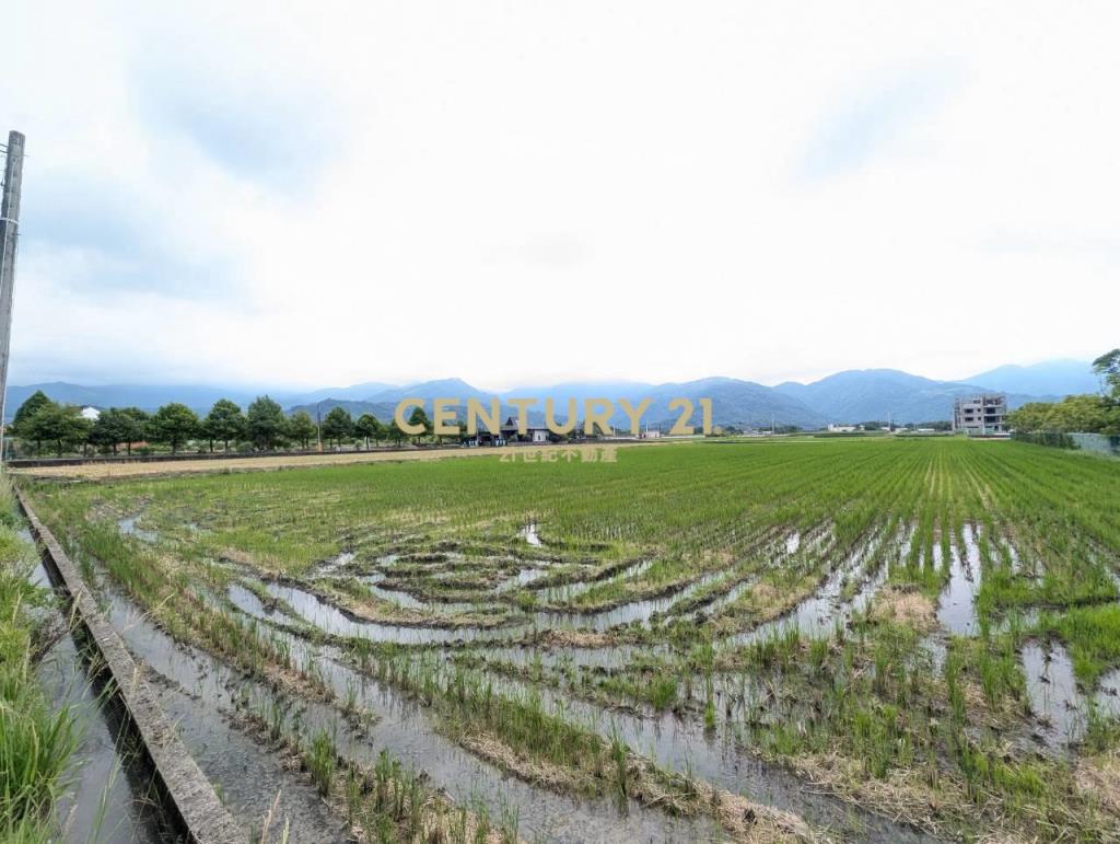 FC407三星人和山景雙足坪農地