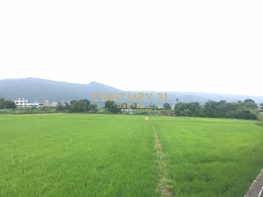 DC110稀有大坪數玉龍路農地