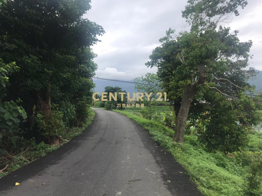 DC110稀有大坪數玉龍路農地