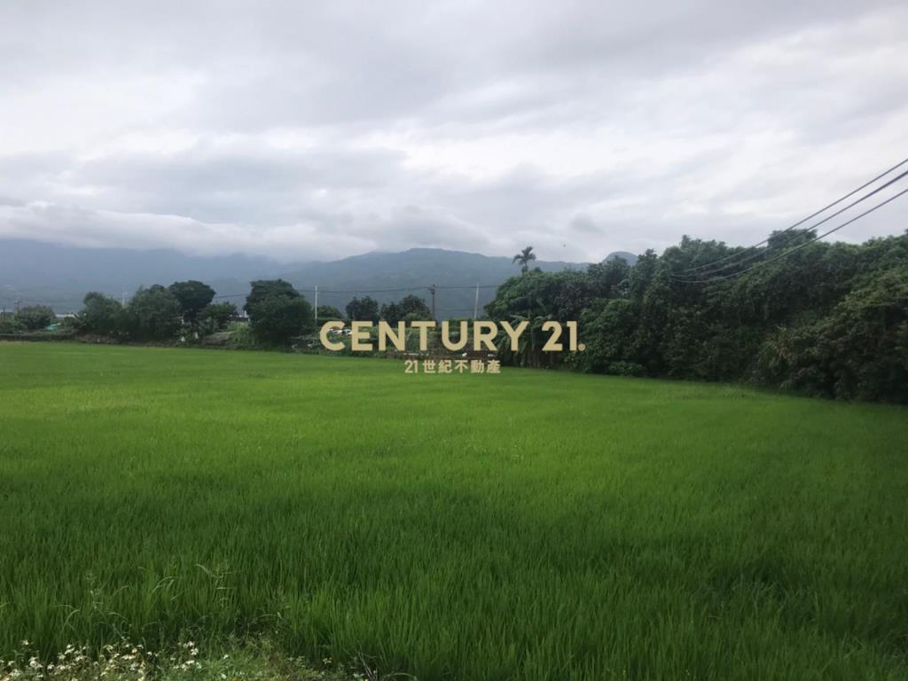 DC110稀有大坪數玉龍路農地