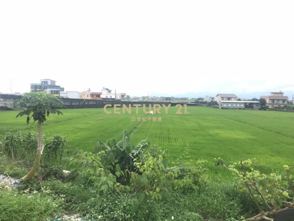 DC110稀有大坪數玉龍路農地