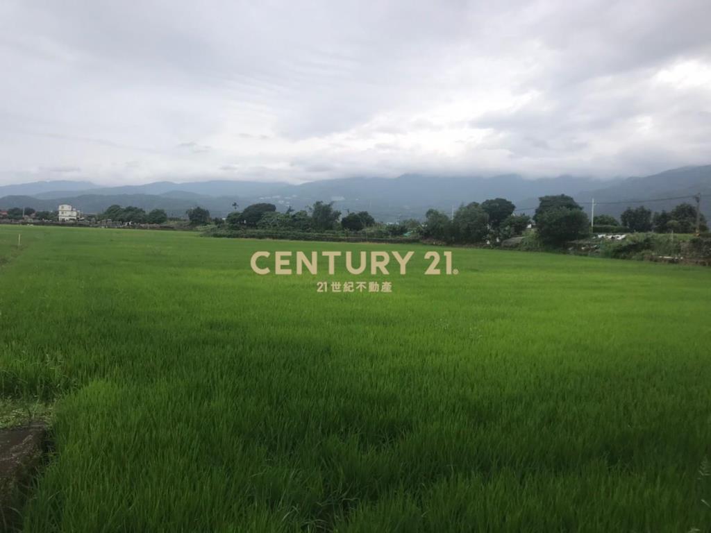 DC110稀有大坪數玉龍路農地