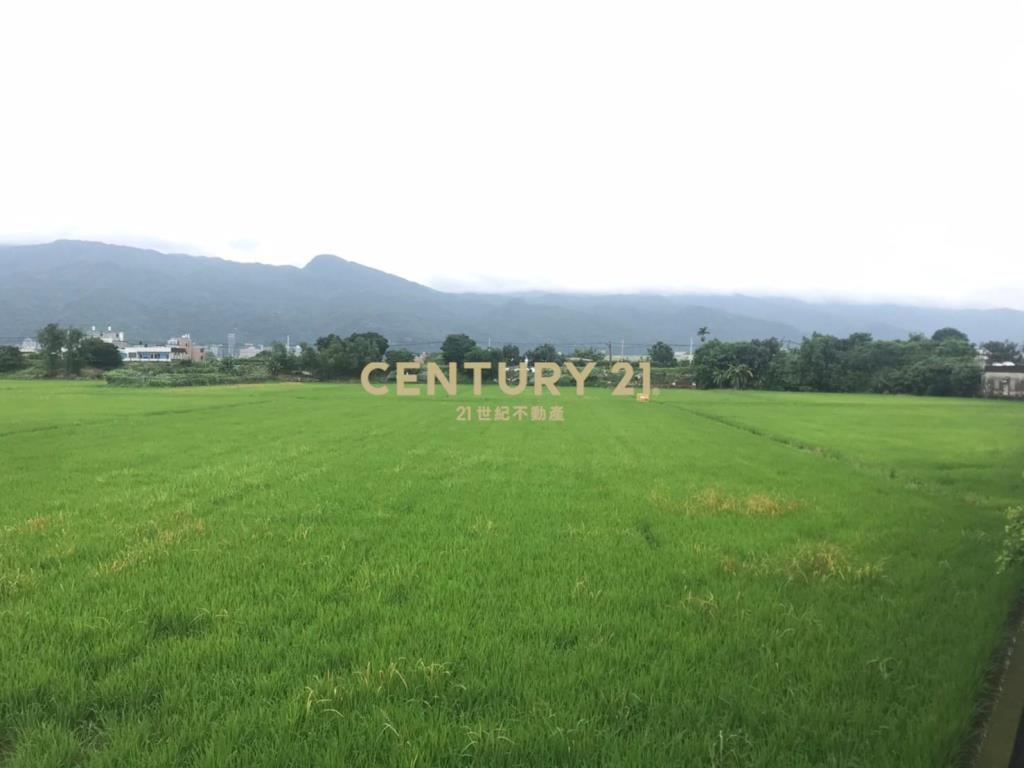 DC110稀有大坪數玉龍路農地