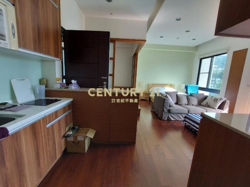 JA295近忠孝別墅區昭曲川溫泉1+1房