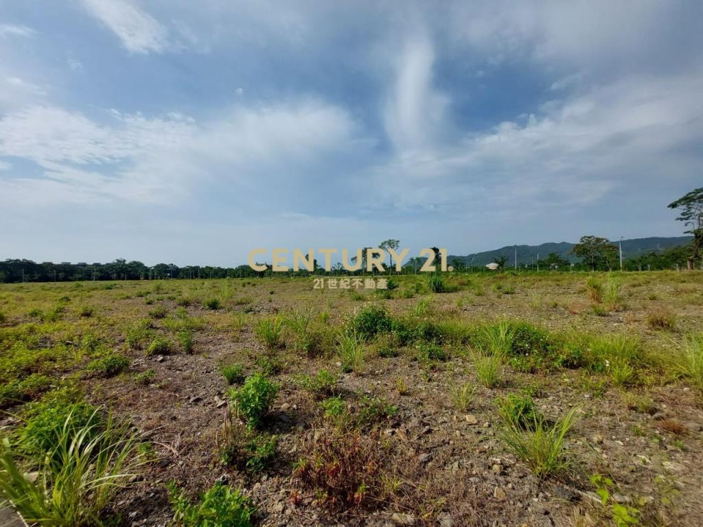 DD235礁溪休閒重劃區持分建地