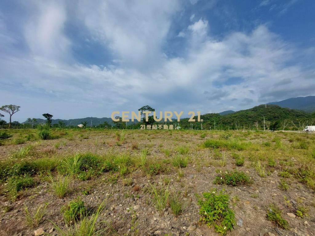 DD235礁溪休閒重劃區持分建地