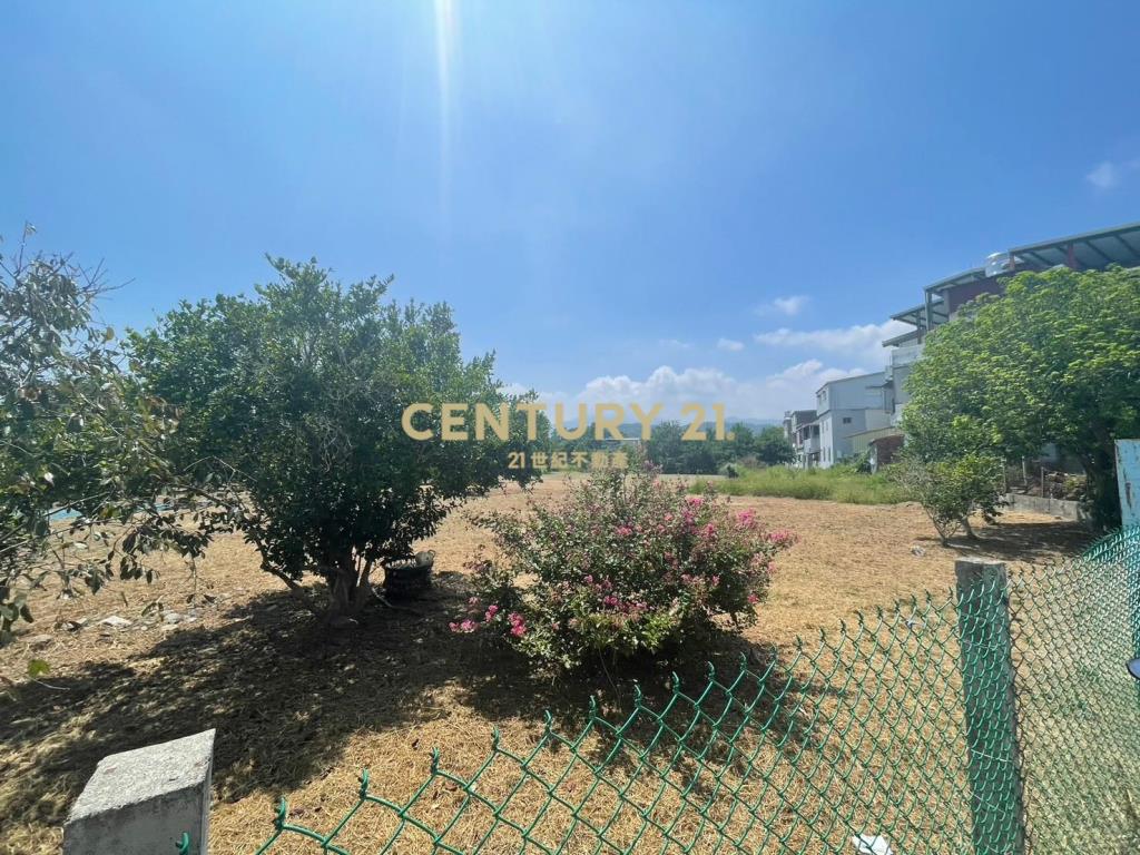 DC365正梅花路8米路旁大農地