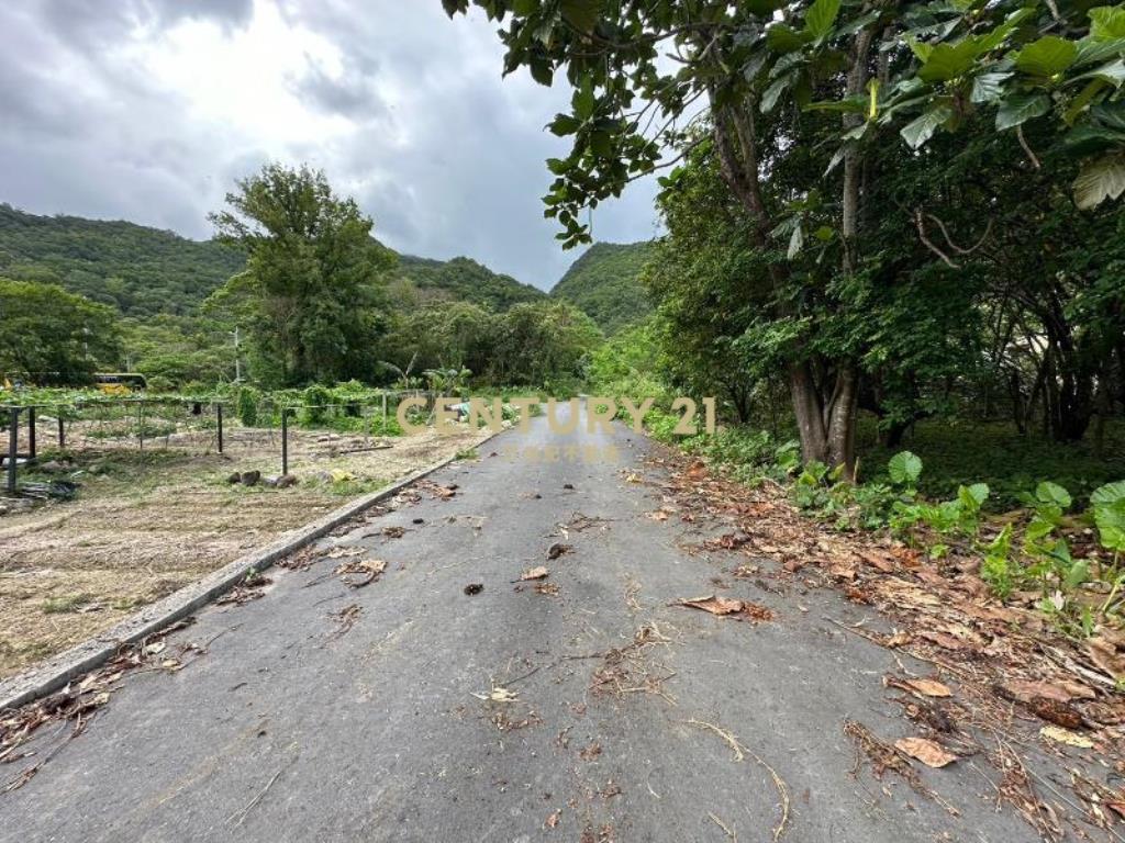 DC385獨家礁溪白雲好投資農地