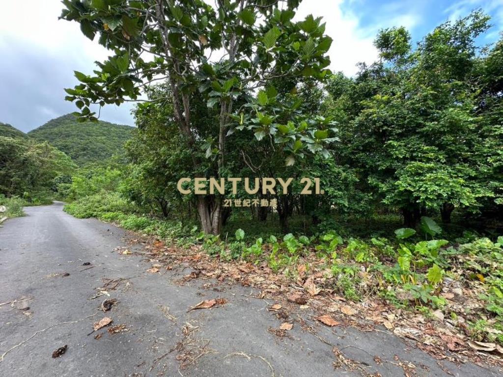 DC385獨家礁溪白雲好投資農地