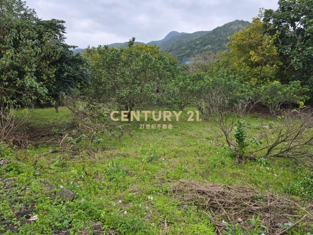 JC319頭城交流旁大坪數農地