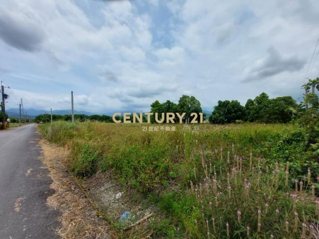 JC322三星近羅東足坪方正臨路農地A