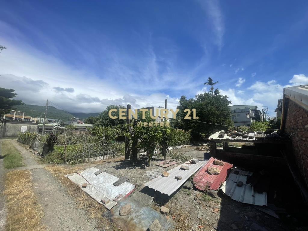 DD229頭城191甲縣道旁建地