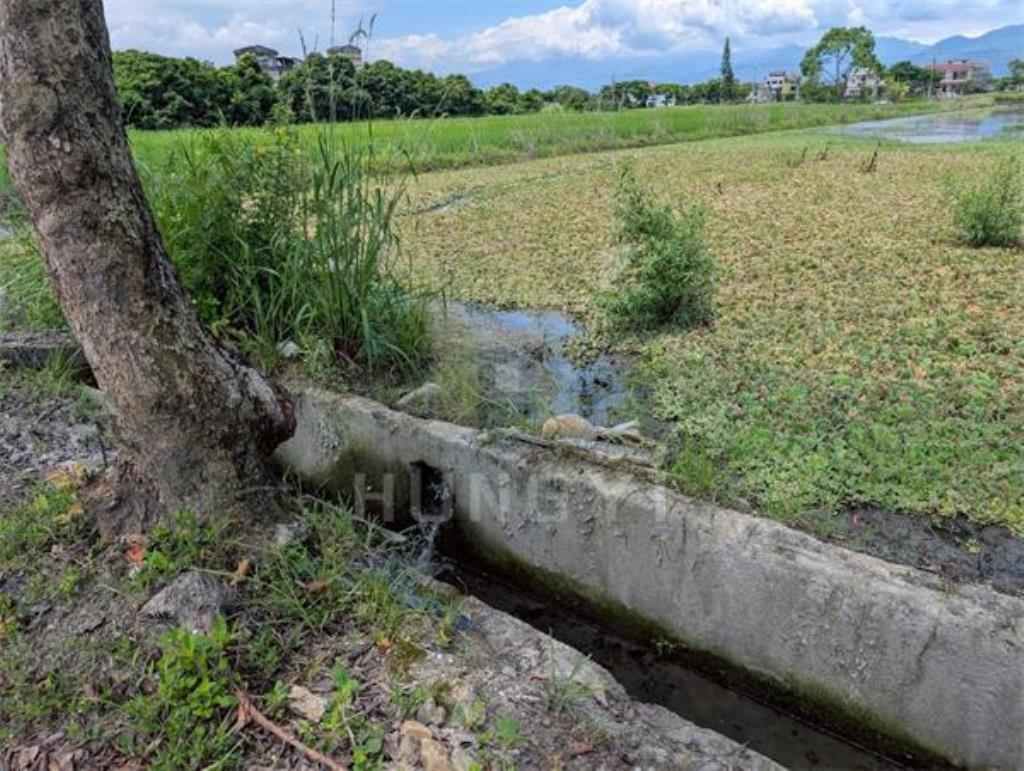 DC441安農溪舒適絕美農地