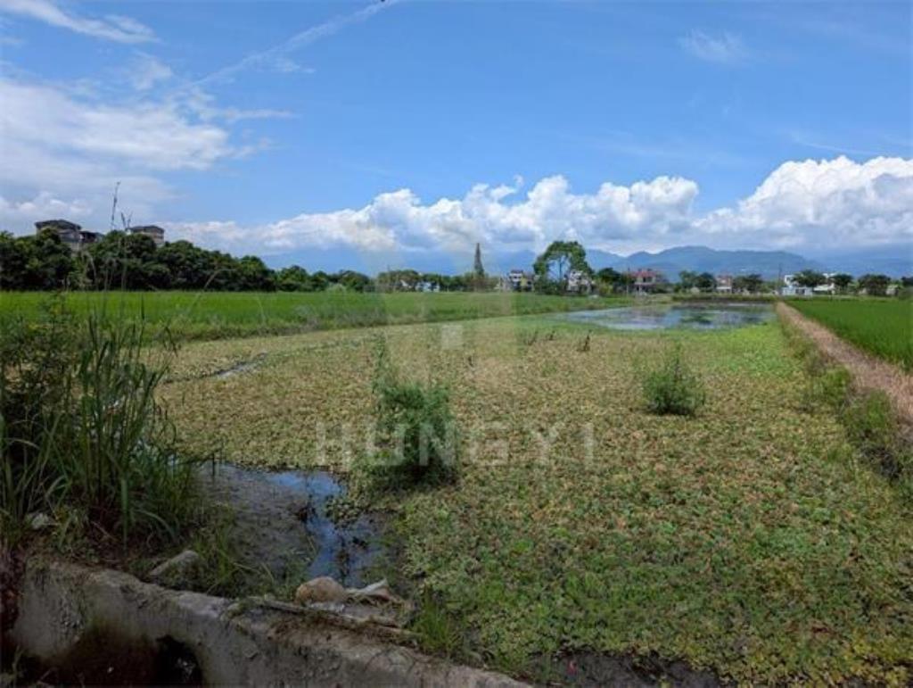 DC441安農溪舒適絕美農地